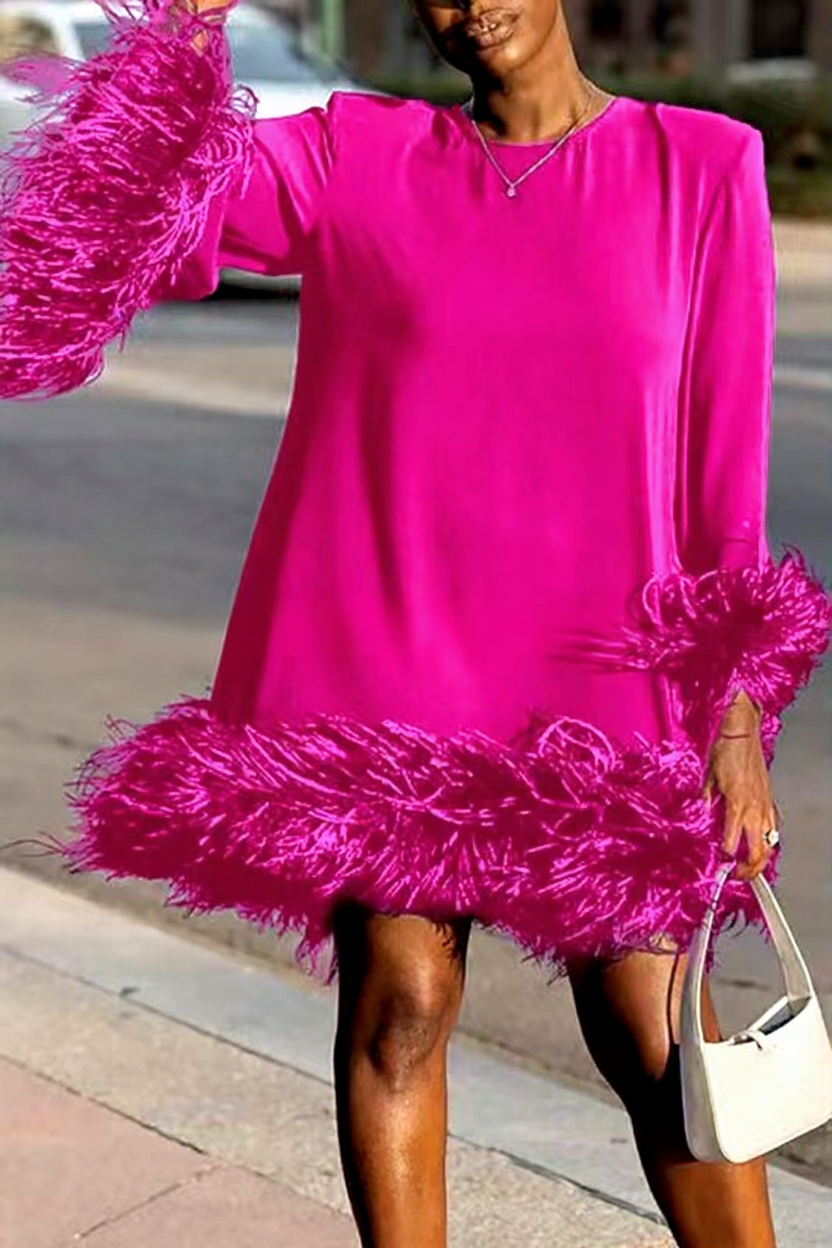 Asymmetrical One-Shoulder Mini Dress with Feather Details